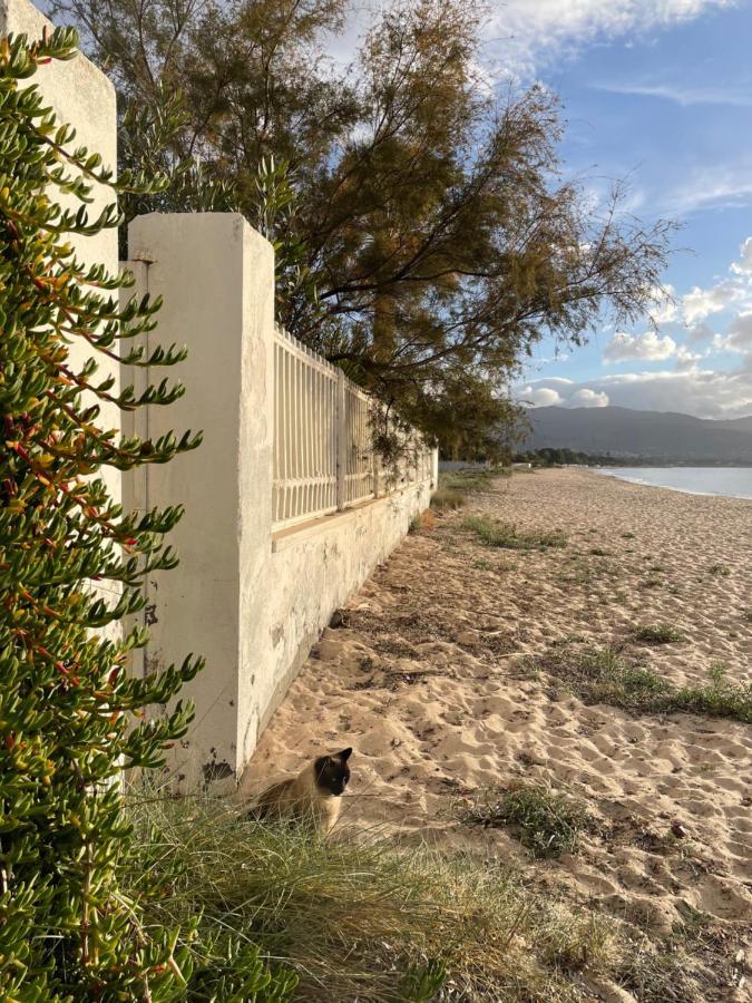 Villa By The Beach Sant'Andrea  エクステリア 写真